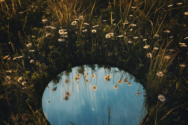 Mirror in a field