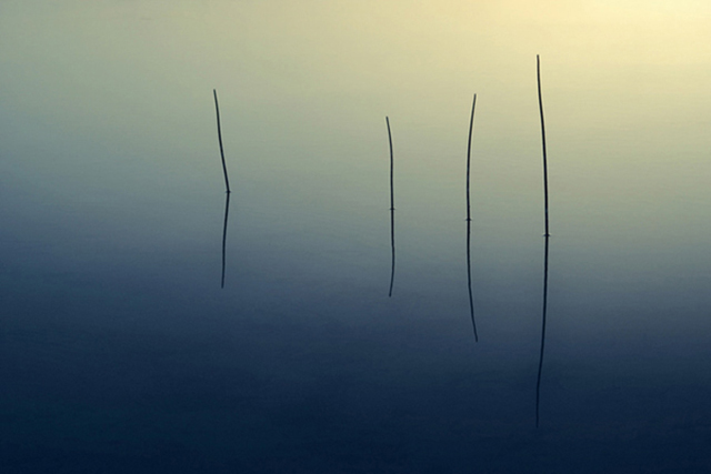 vier stokken in het water