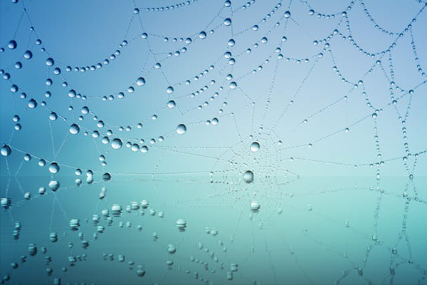 blue droplets
