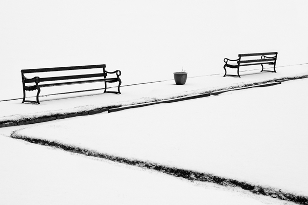 two benches in the snow