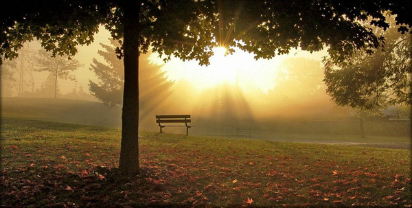 sit and watch