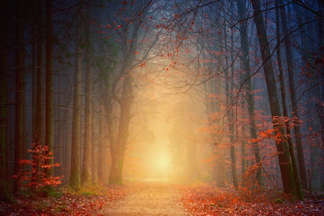 Path to enlightenment 01