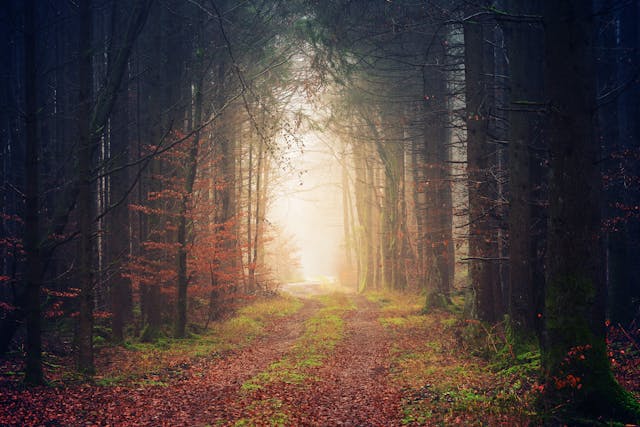 Path to enlightenment 02