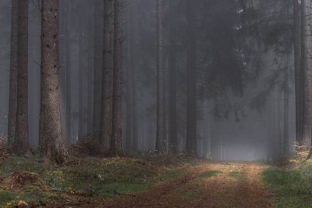 Path to enlightenment 03