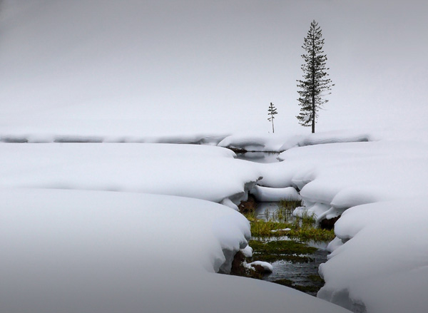 2 silence in february