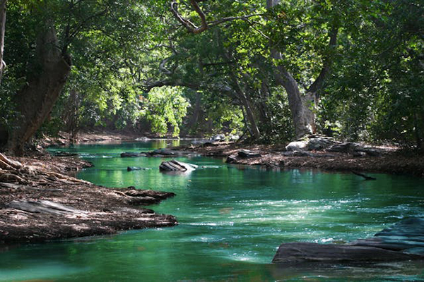 a green stream of water