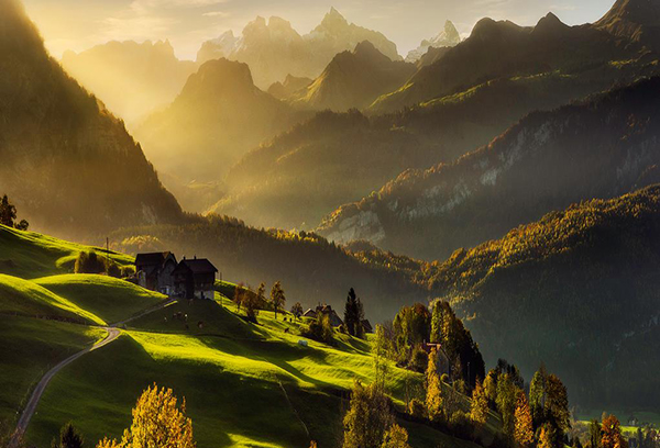 Autumn dream