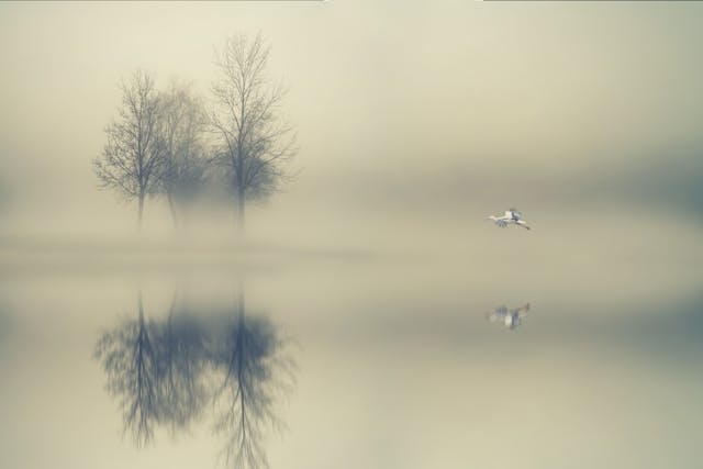 Non dual reflection