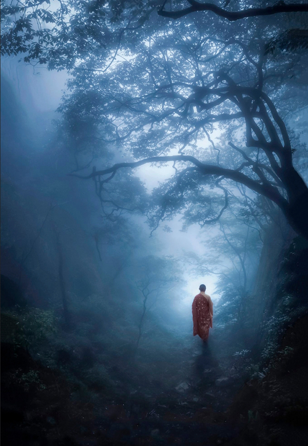 Buddhist monk in a blue forrest