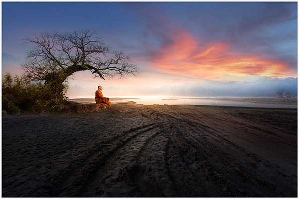 Monk under a tree