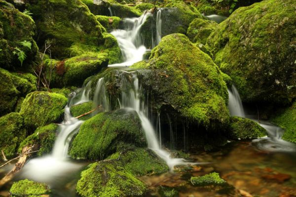 clear stream