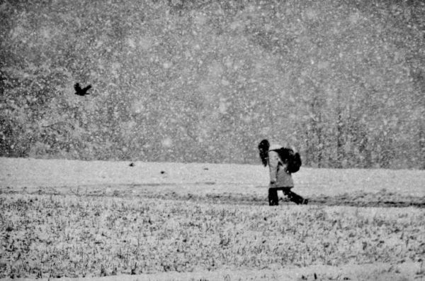 girl and crow