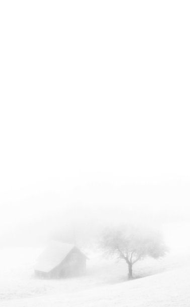 snow tree hut
